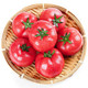 云南普罗旺斯西红柿 5斤装(单果约70-100g)