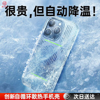 苹果14ProMax手机壳散热保护壳iPhone14电竞壳保护套冰肤游戏散热款防摔耐磨耐刮磁吸壳 寒冰散热磁吸壳 苹果14Pro