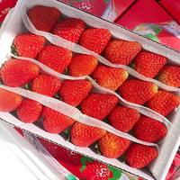 乡语小吖新鲜商用草莓 带箱9斤 酸草莓 奶茶蛋糕夏季草莓在烘焙水果 生鲜