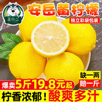 王小二四川安岳黄柠檬5斤新鲜水果奶茶店专用皮薄一级香水甜柠檬无籽青6 200-250g 特大果 （严选家庭款） 5斤