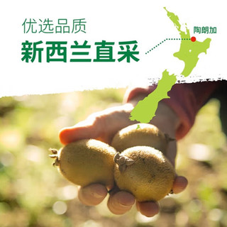首衡佳沛新西兰阳光金果 金黄心奇异果猕猴桃 25-27颗特大果 3.5kg