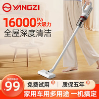 YANGZI 扬子 吸尘器大吸力家用吸拖地一体超强功率手持小型地毯扫地吸尘机 白色标准款