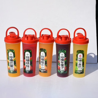 动康（DONGKANG） 动康拎桶果汁1.5L大瓶装车厘子芒果杨梅汁夏季饮品网红饮料 拎桶芒果6瓶