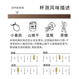 炬点咖啡 山人系列微批次 肯尼亚水洗 手冲咖啡豆 250g