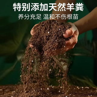 红豆男装 红豆 营养土 通用型10斤