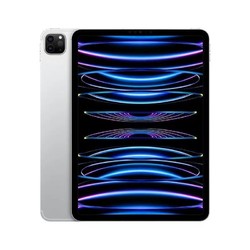 Apple 苹果 iPad Pro 2022款 11英寸平板电脑 128GB WLAN版 银色