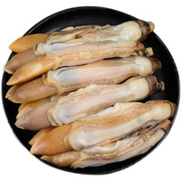 SHIXIAOLU 拾小鹿 现挖大号 竹节蛏 手剥去壳*1斤