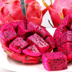 果迎鲜火龙果_果迎鲜 广西金都一号红心火龙果 5斤9-12个左右多少钱-