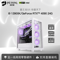 名龙堂 MLOONGi9 13900KF/13900K/4090华硕ROG显卡电脑主机全套高配电竞高端水冷组装机整机全套