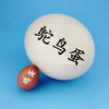 筱诺新鲜特大号鸵鸟蛋 食用鸸鹋蛋大蛋可食用鲜蛋 1.8-2.2斤