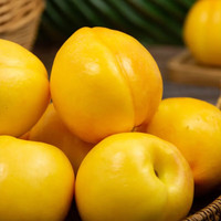 禾语鲜当季新鲜桃子黄油桃蒙阴黄金油桃应季新鲜水果 精选4.5斤礼盒装
