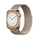 Apple 苹果 Watch Series 8 智能手表 45mm 蜂窝版 不锈钢表壳米兰尼斯表带
