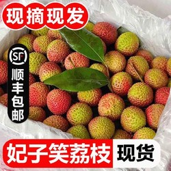 正宗妃子鲜荔枝4.5斤单果19g起海南现摘新鲜水果广东