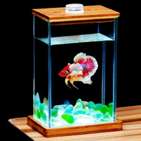 泰国斗鱼专用缸小型迷你超白玻璃缸半月巨斗创意造景宿舍桌面鱼缸