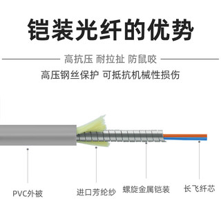 优普连 电信级铠装光纤跳线SC-FC 2米多模双芯带铠尾纤 防鼠咬凯甲钢丝抗压抗拉