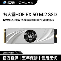 影驰 HOF名人堂EX50系列 台式机电脑游戏高速固态硬盘 PCIE5.0 NVME2.0 影驰HOF EX 2T 5.0