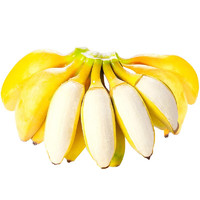 淳果一木 广西小米蕉整箱香蕉苹果蕉芭蕉 2斤（净重1.5-2斤）