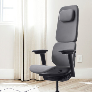 ZUOWE座为Fit人体工学椅办公椅电脑椅可躺椅子 睿智黑 DIY