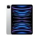 Apple 苹果 2022年款iPad Pro 11英寸M2芯片 平板电脑 WLAN版