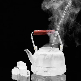 美斯尼茶壶玻璃茶具加厚耐热喷淋式蒸煮壶大容量烧水壶办公家用泡茶壶 韵雅壶 透明色 1060ml