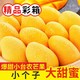 海南小台农芒果4.8斤单果80g以上精品新鲜小台鸡蛋芒热带水果