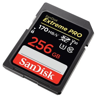 SanDisk 闪迪 Extreme PRO 至尊超极速系列 SD存储卡 256GB（UHS-I、V30、U3）