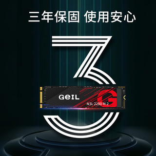 GeIL 金邦 N3L SATA 固态硬盘 256GB