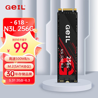 GeIL 金邦 N3L NGFF M.2固态硬盘 256GB