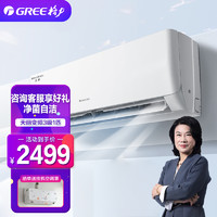 GREE 格力 天丽新能效 大1匹变频挂机空调KFR-26GW/(26530)FNhAk-B3 冷暖三级能效 家用