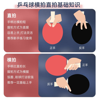 DHS 红双喜 狂飚3 蓝海绵国套 乒乓球拍套胶 黑色 39度 2.2mm