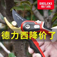 DELIXI 德力西 剪枝剪刀强力花剪修枝剪果树修剪树枝园艺园林花艺剪子果园