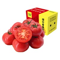 GREER 绿行者 新鲜红番茄 5斤