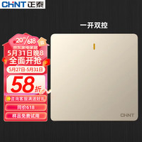 正泰（CHNT） 开关插座墙壁面板 86型无边框大面板NEW6C 香槟金 斜五孔插座 一开双控