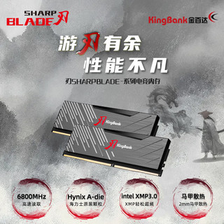 KINGBANK 金百达 黑刃 DDR5 6800MHz 台式机内存 马甲条 黑色 32GB 16GBx2 C34