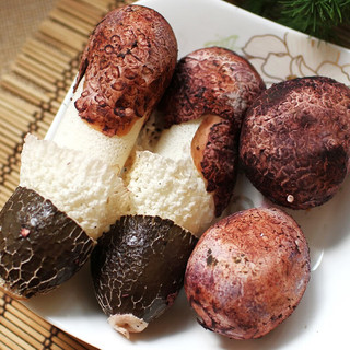 卡布诺云南新鲜带帽竹荪竹荪菇鲜货食用菌菇竹笙蘑菇特产 1000g