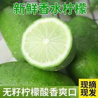 酷果汇子弹头无籽香水柠檬云南西双版纳青柠檬新鲜水果 1斤大果带箱重量