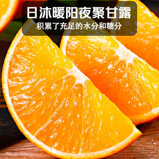 冠町湖北秭归伦晚脐橙子 新鲜水果春橙生鲜 5斤中果（单果65-70mm）试吃尝鲜