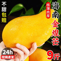 鲜其(超甜)海南金煌芒新鲜特大9斤水仙芒果甜心芒当季热带水果整箱 海南金煌芒 9斤装 单果400+