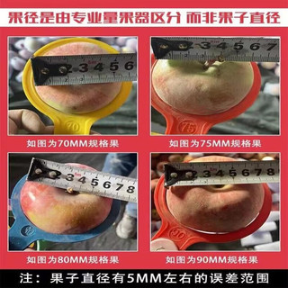 天乐优选脐橙橙子新鲜水果 带箱10斤净重9斤小果