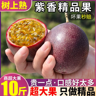 鲜其5斤紫皮百香果新鲜大果整箱水果现摘一级黄金果甜特级孕妇 紫香百香果   5斤 35-40个   大果5斤