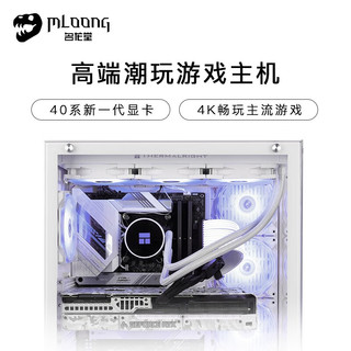 名龙堂i7 13700F/4070显卡台式组装电脑主机diy家用办公游戏吃鸡电竞直播全套整机设计渲染 标准版 i7 12700F/4070 12G 单主机