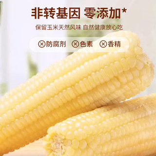 惠寻 京东自有品牌 吉林鲜食白糯玉米220g*8根东北玉米真空装（低脂）