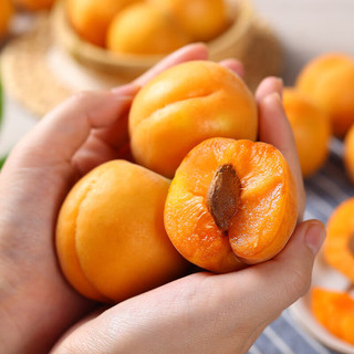 青樱红荔现货大黄杏新鲜应当季酸甜脆杏整箱时令水果现摘陕西杏子红杏 5斤