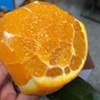 小博生鲜湖北秭归伦晚橙子9斤装 脐橙新鲜 当季新鲜水果