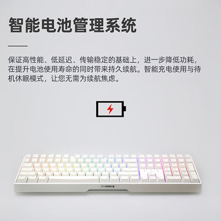 CHERRY 樱桃 MX3.0S无线键盘三模蓝牙有线游戏键盘RGB灯效电竞电脑办公全尺寸键盘 三模 白色RGB 茶轴