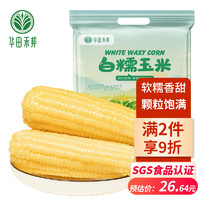 华田禾邦 非转基因 白糯玉米棒 250g*6袋 1.5~1.8KG 东北新鲜真空甜黏玉米