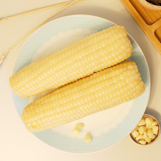 华田禾邦 非转基因 玉米 白糯玉米棒1.5~1.8KG 东北新鲜真空甜黏玉米