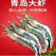 青岛大虾  4斤 13-16cm