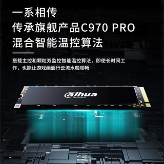 Dahua 大华 da hua 大华 C970 Plus 固态硬盘 2TB PCIe 4.0