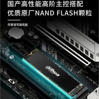 Dahua 大华 da hua 大华 C970 Plus 固态硬盘 2TB PCIe 4.0